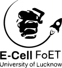 E-Cell LU Logo