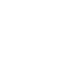 E-Cell LU Logo